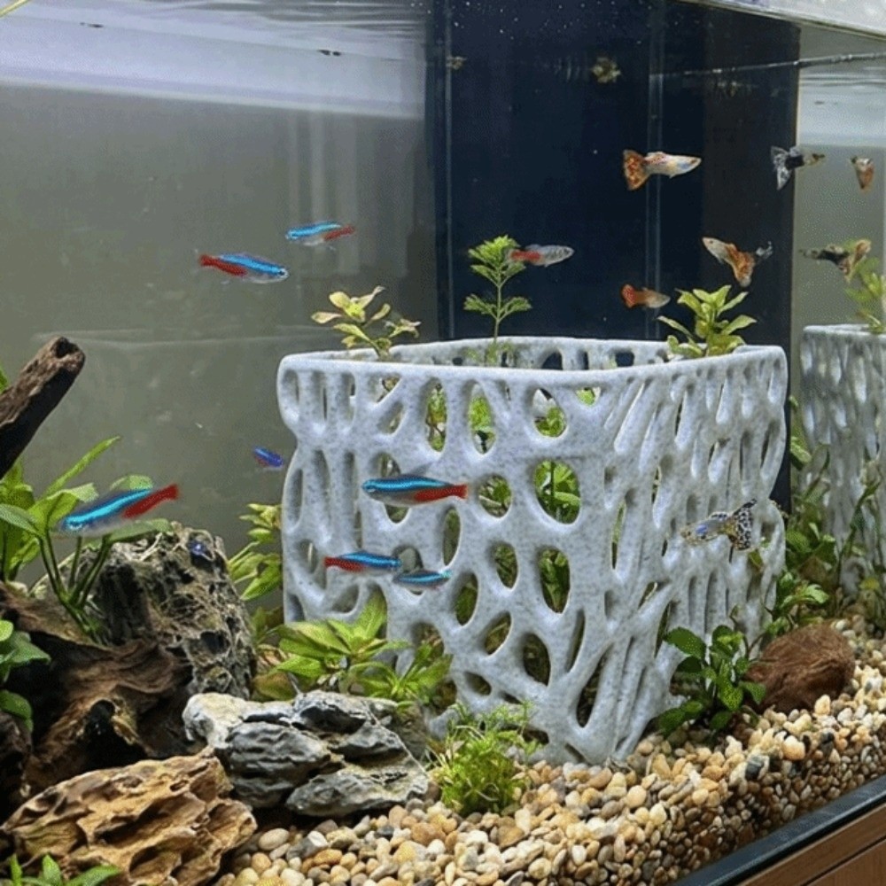 Maceta para Acuario Impresa en - 3D Printing Pot reseña y precio